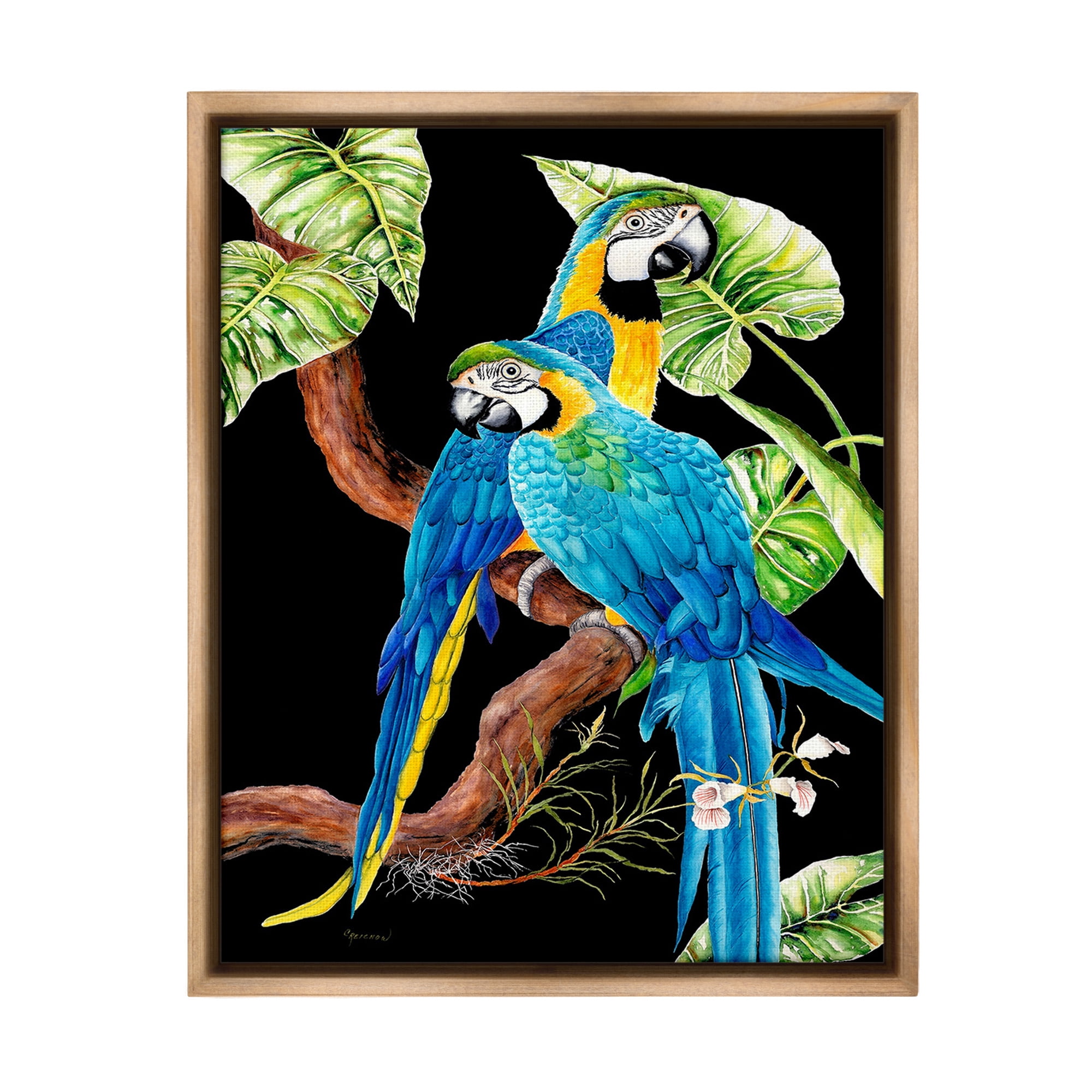 Stupell Industries Parrots Perched on Branch Animals & Insects Painting Brown Floater Framed Canvas Art Print Wall Art, 17 x 21