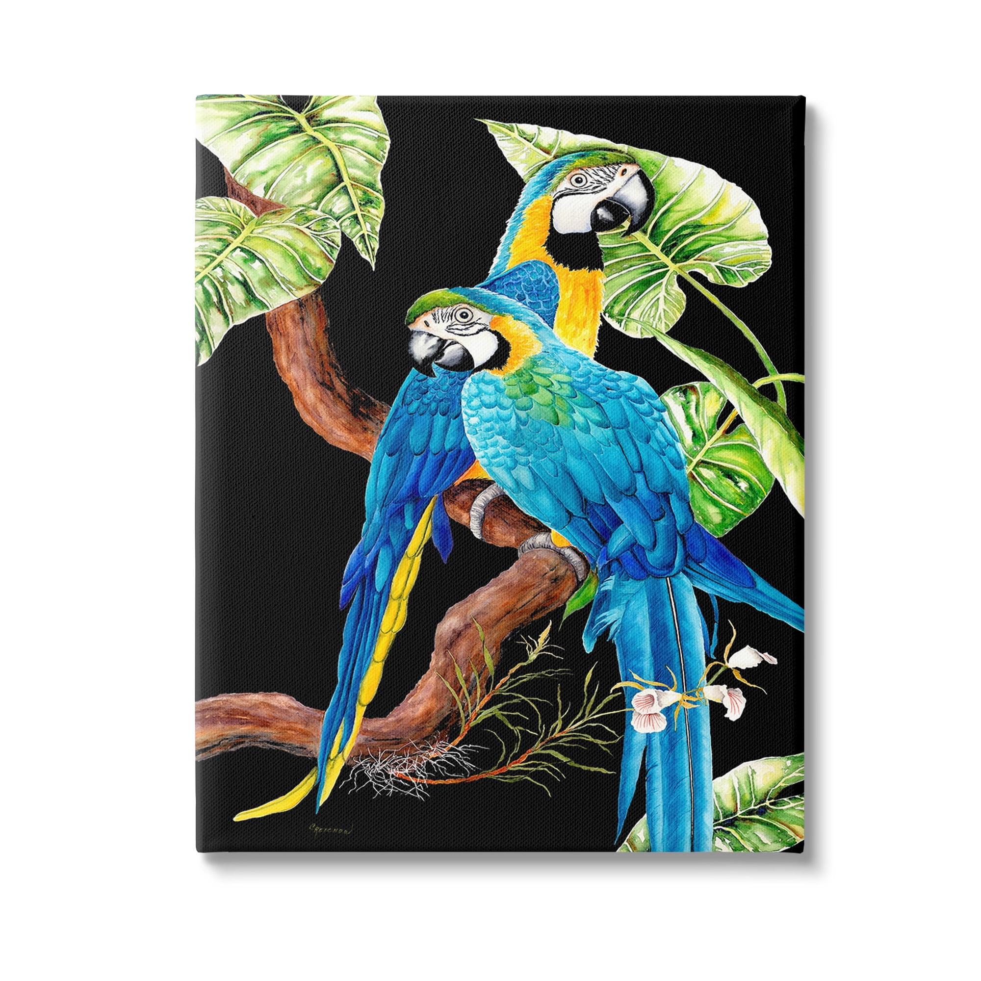 Stupell Industries Parrots Perched on Branch Animals & Insects Painting Gallery Wrapped Canvas Art Print Wall Art, 24 x 30
