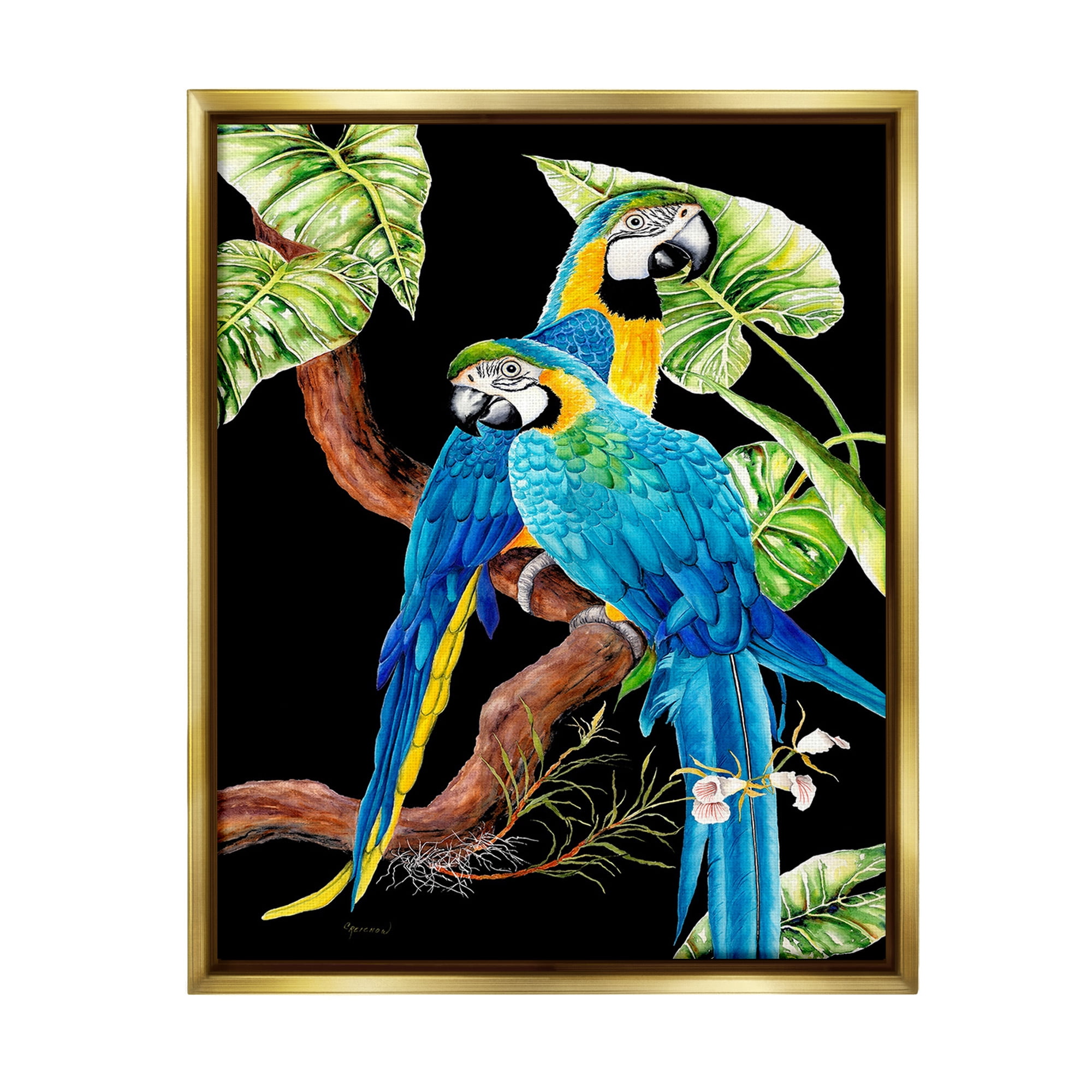 Stupell Industries Parrots Perched on Branch Animals & Insects Painting Gold Floater Framed Canvas Art Print Wall Art, 25 x 31