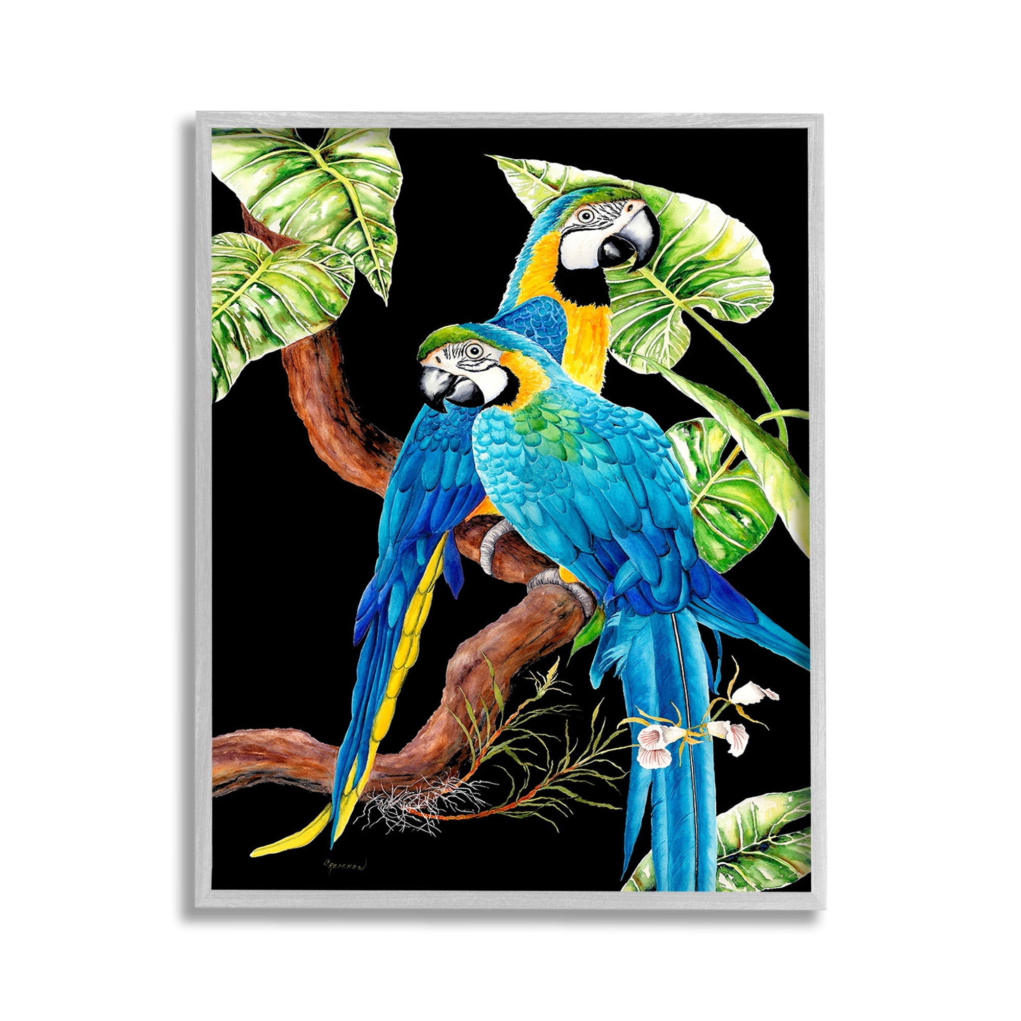 Stupell Industries Parrots Perched on Branch Animals & Insects Painting Gray Framed Art Print Wall Art, 11 x 14