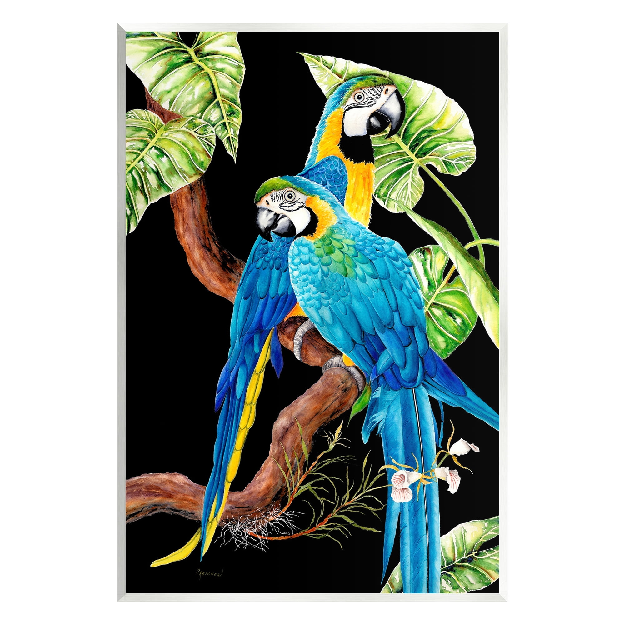 Stupell Industries Parrots Perched on Branch Animals & Insects Painting Unframed Art Print Wall Art, 13 x 19