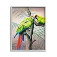 thumbnail image 1 of Stupell Industries Parrots Playing on Branch Animals & Insects Painting Gray Framed Art Print Wall Art, 16 x 20, 1 of 9