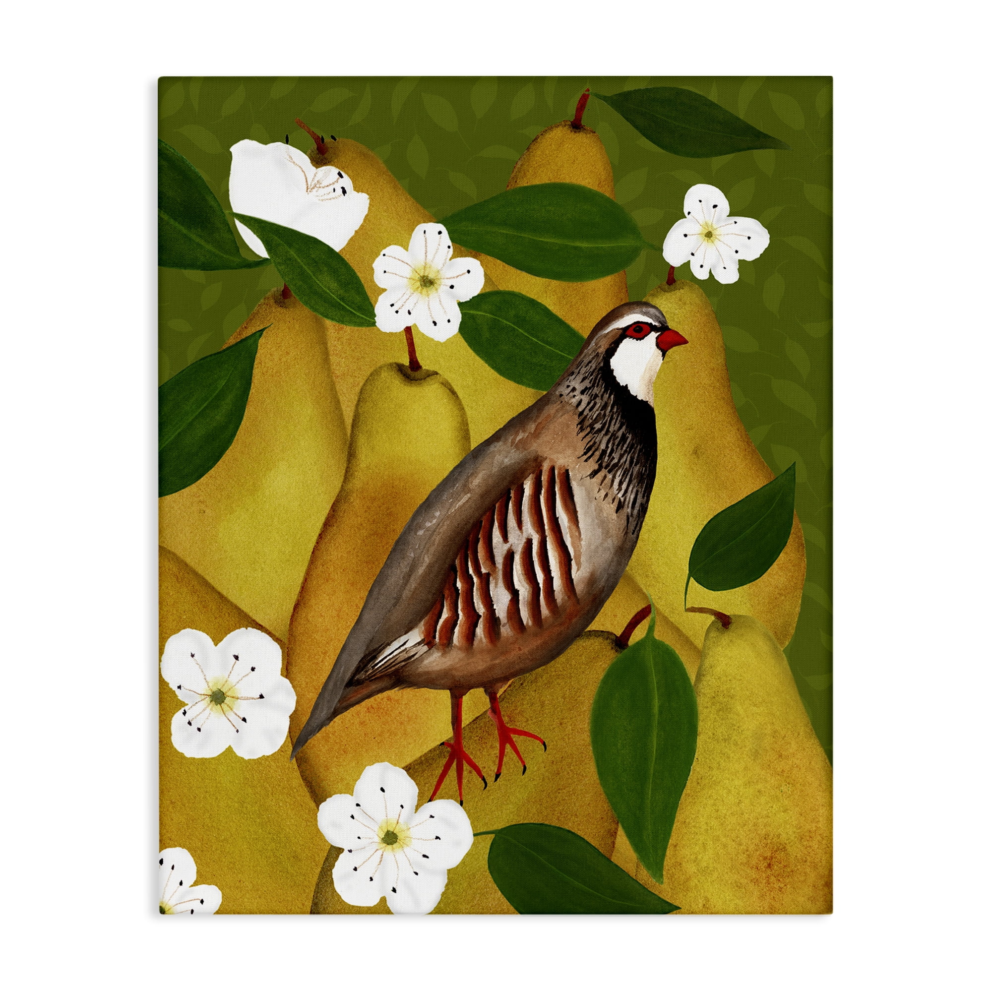 Stupell Industries Partridge Bird & Pears Food & Beverage Painting Wrapped Canvas Art Print Wall Art, 24 x 30