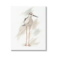 thumbnail image 1 of Stupell Industries Passive Shorebird Long Beak Bird Illuminated Beach,30 x 40, Design by Patricia Pinto, 1 of 5