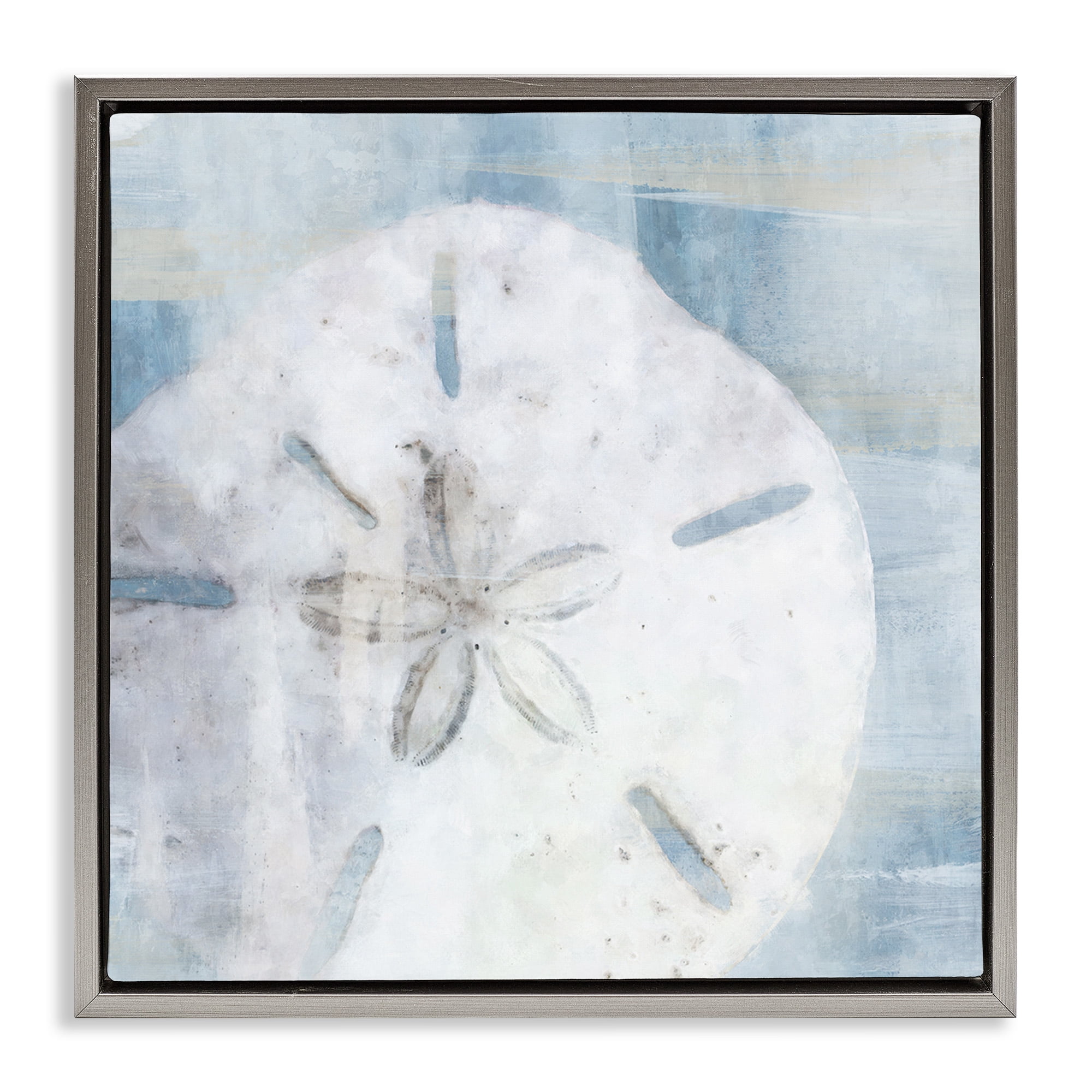 Stupell Industries Pastel Blue Sand Dollar Seashell Nature Painting Gray Floater Framed Canvas Art Print Wall Art, 18 x 18