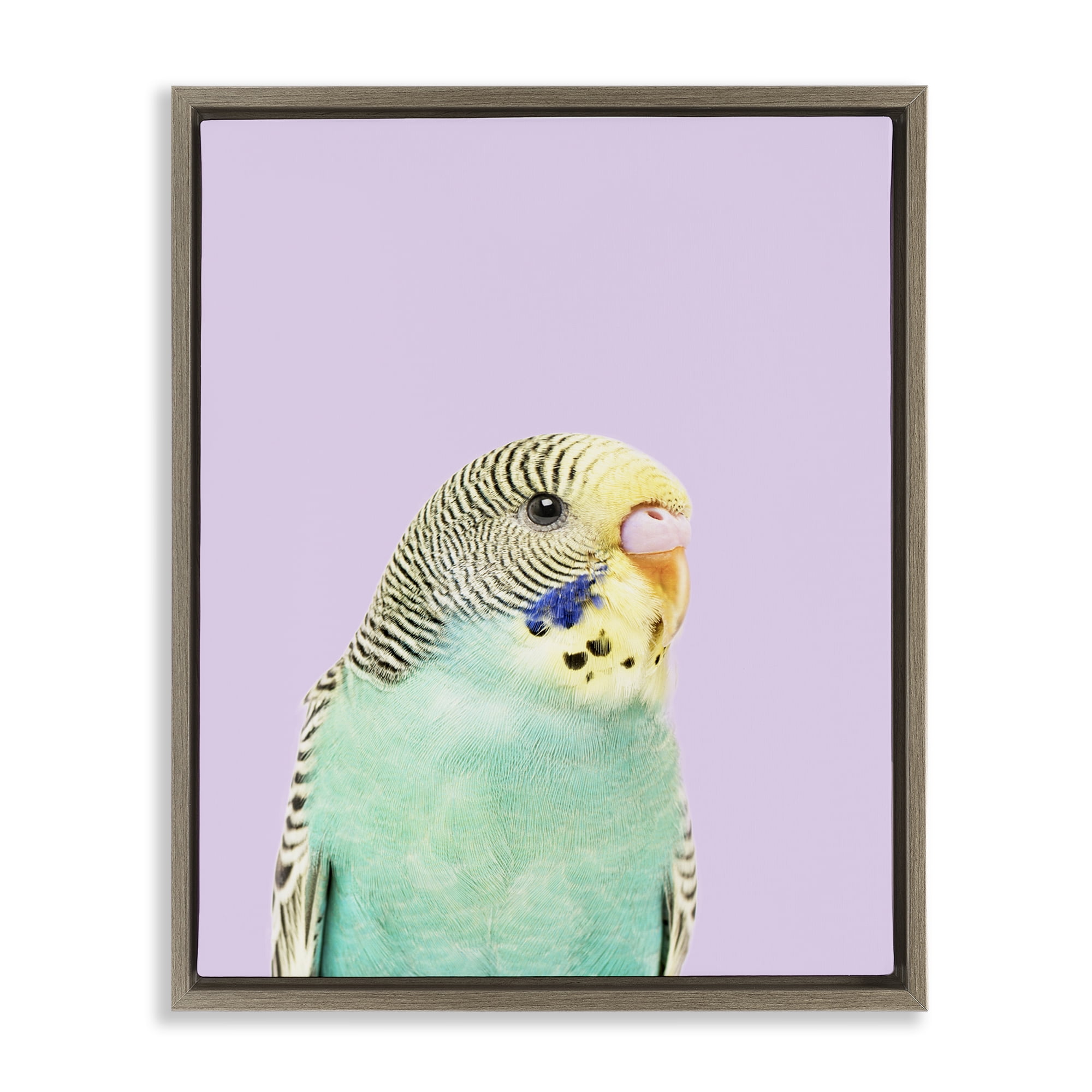 Stupell Industries Pastel Budgie Bird Animals Painting Brown Floater Framed Canvas Art Print Wall Art, 17 x 21