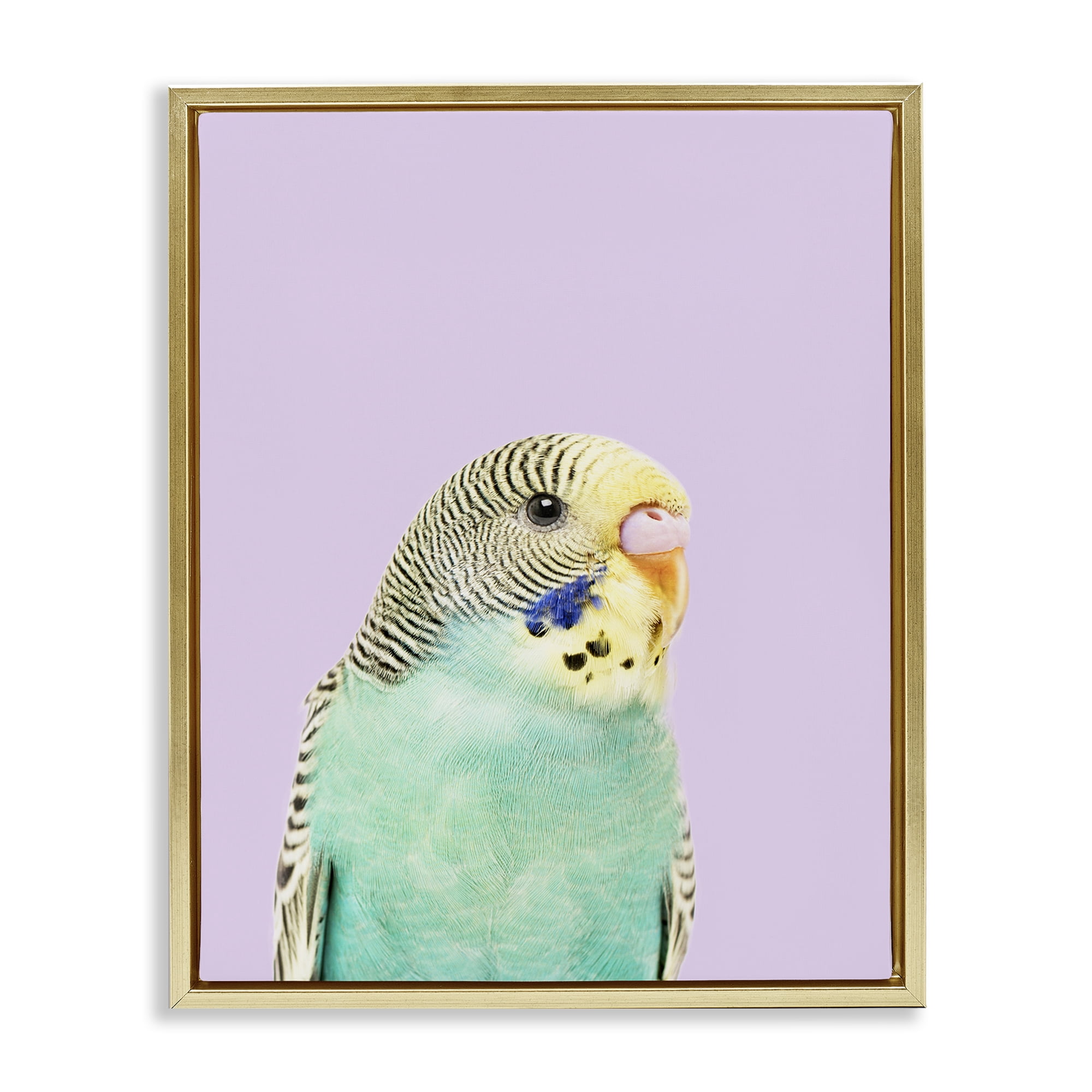 Stupell Industries Pastel Budgie Bird Animals Painting Gold Floater Framed Canvas Art Print Wall Art, 25 x 31