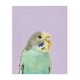 thumbnail image 1 of Stupell Industries Pastel Budgie Bird Animals Painting Wrapped Canvas Art Print Wall Art, 16 x 20, 1 of 8