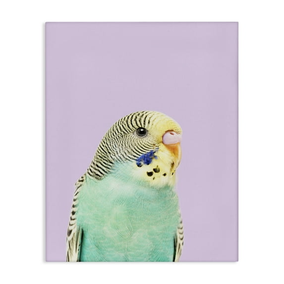 Stupell Industries Pastel Budgie Bird Animals Painting Wrapped Canvas Art Print Wall Art, 24 x 30