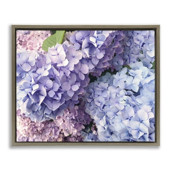 Stupell Industries Pastel Hydrangea Flower Petals Botanical & Floral Photography Brown Floater Framed Canvas Art Print Wall Art, 31 x 25