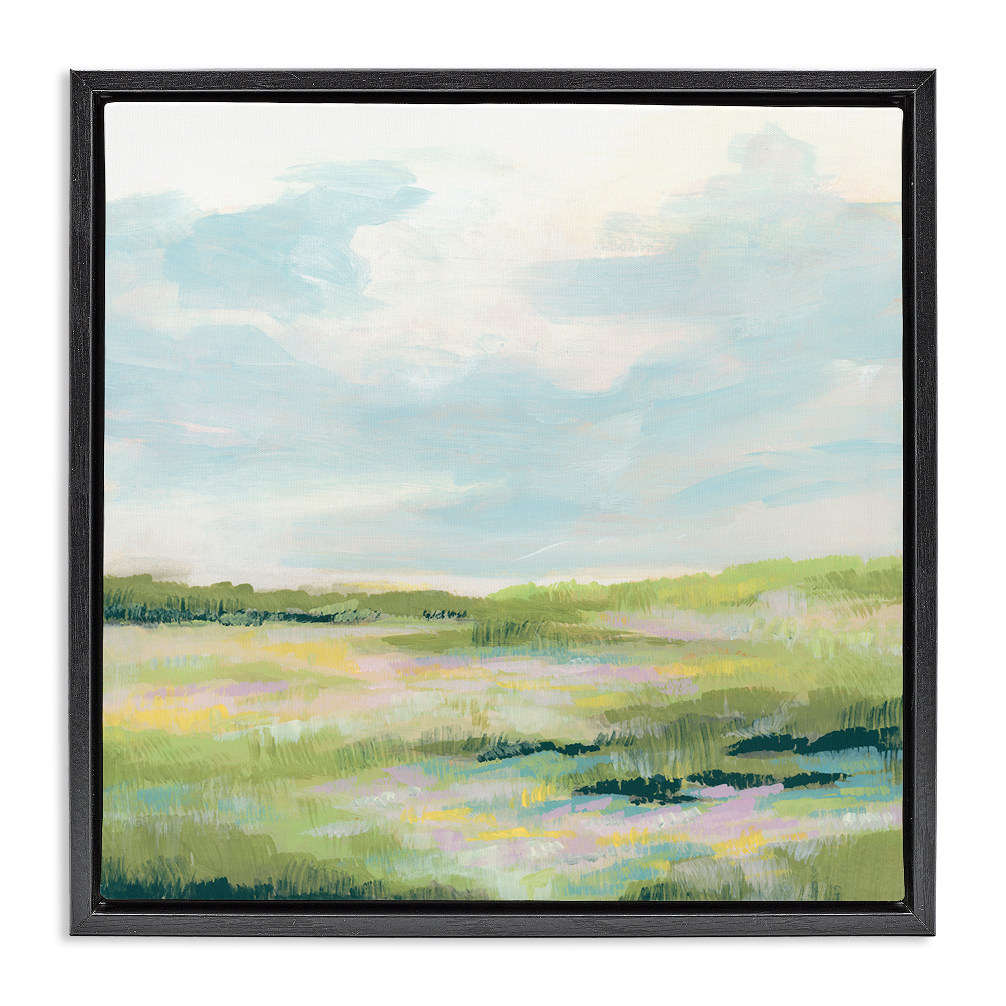 Stupell Industries Pastel Meadow Landscape Landscape & Nature Painting Black Floater Framed Canvas Art Print Wall Art, 25 x 25