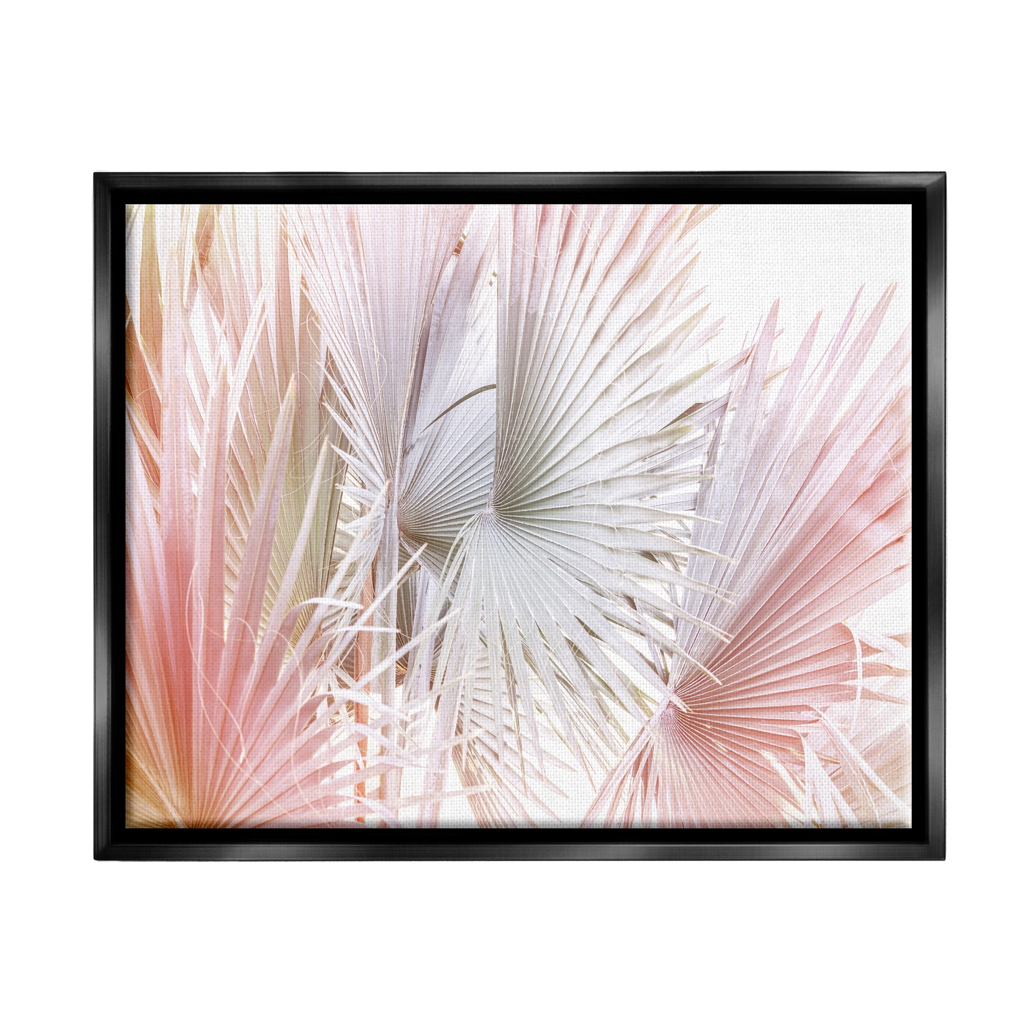 Stupell Industries Pastel Palm Plant Leaves Nature Painting Black Floater Framed Art Print Wall Art, 31 x 25