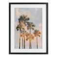 thumbnail image 1 of Stupell Industries Pastel Palm Reflections Black Framed Print Under Glass design by Natalie Carpentieri, 20 x 14, 1 of 10