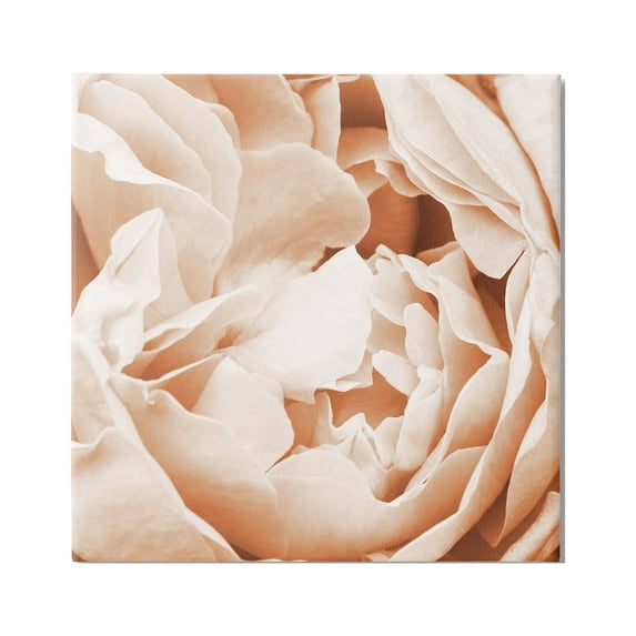 Stupell Industries Pastel Pink Peony Petals Botanical & Floral Photography Gallery Wrapped Canvas Print Wall Art, 24 x 24