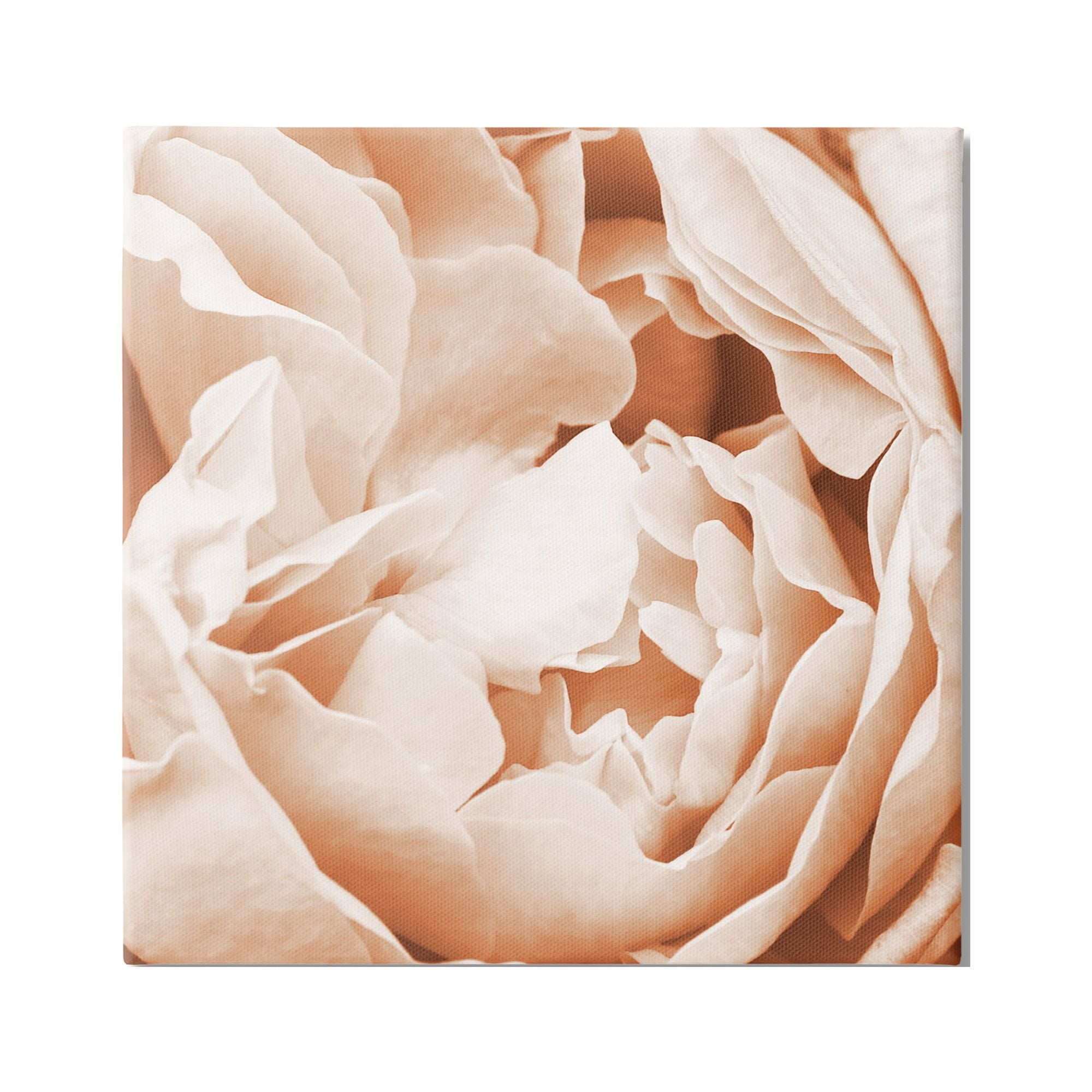 Stupell Industries Pastel Pink Peony Petals Botanical & Floral Photography Gallery Wrapped Canvas Print Wall Art, 30 x 30