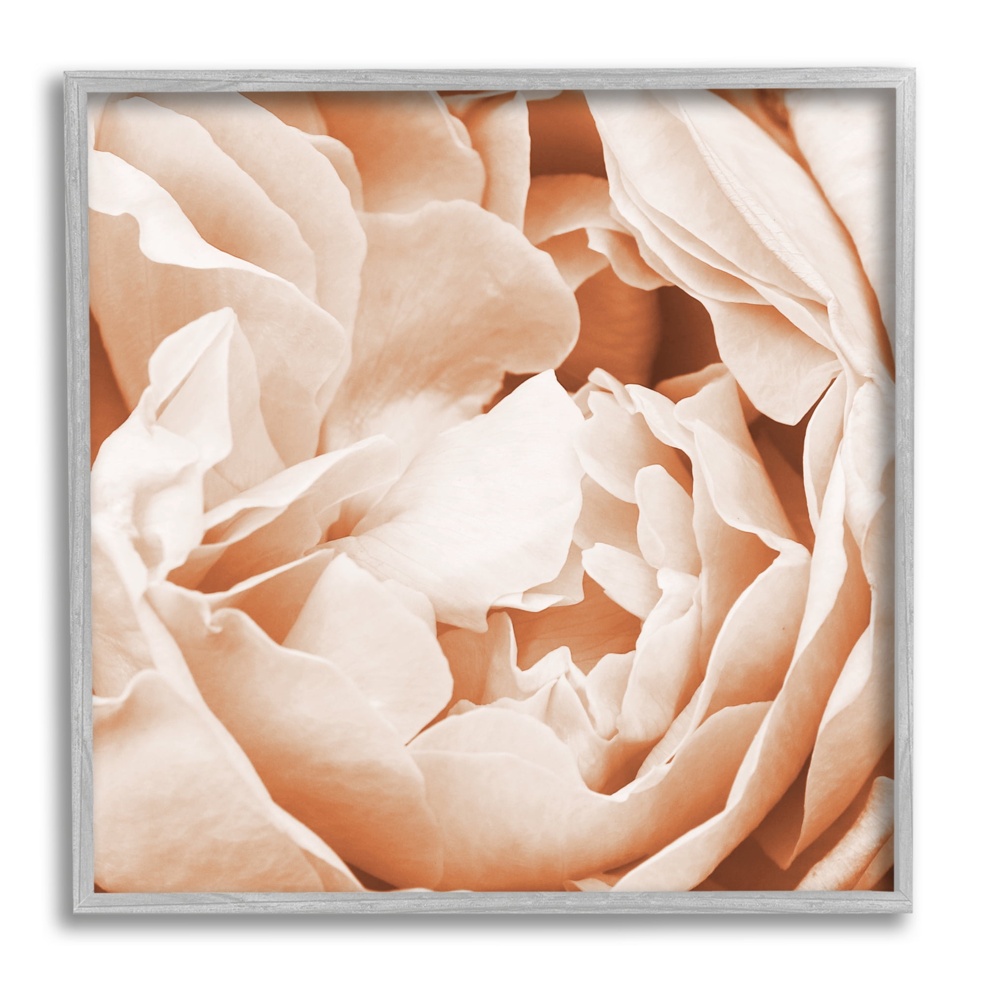 Stupell Industries Pastel Pink Peony Petals Botanical & Floral Photography Gray Framed Art Print Wall Art, 17 x 17