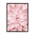 thumbnail image 1 of Stupell Industries Pastel Pink Succulent Botanical & Floral Photography Black Framed Art Print Wall Art, 11 x 14, 1 of 8