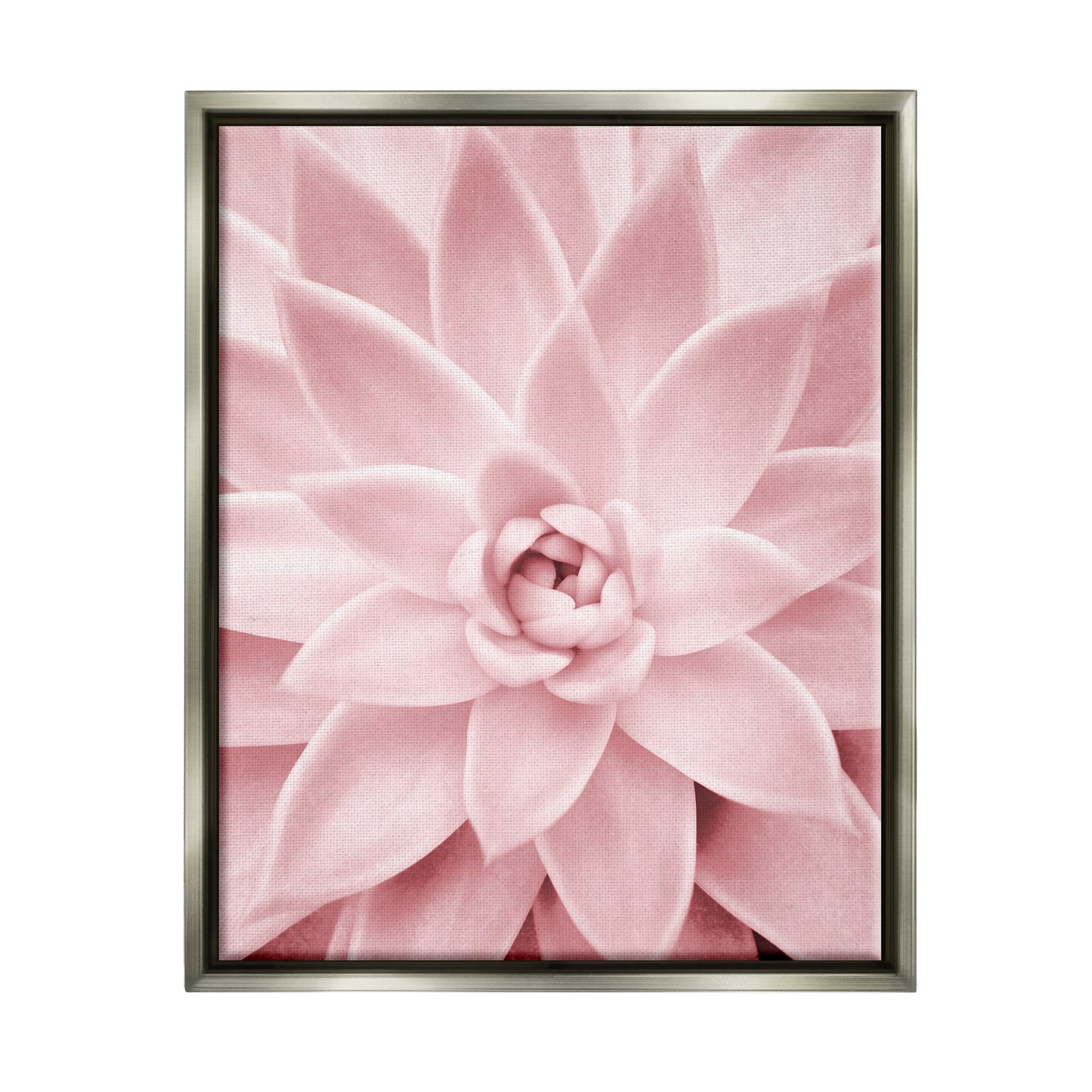 Stupell Industries Pastel Pink Succulent Botanical & Floral Photography Gray Floater Framed Art Print Wall Art, 25 x 31