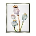 thumbnail image 1 of Stupell Industries Pastel Poppy Pods Watercolor Botanical & Floral Painting Gray Floater Framed Art Print Wall Art, 1 of 6
