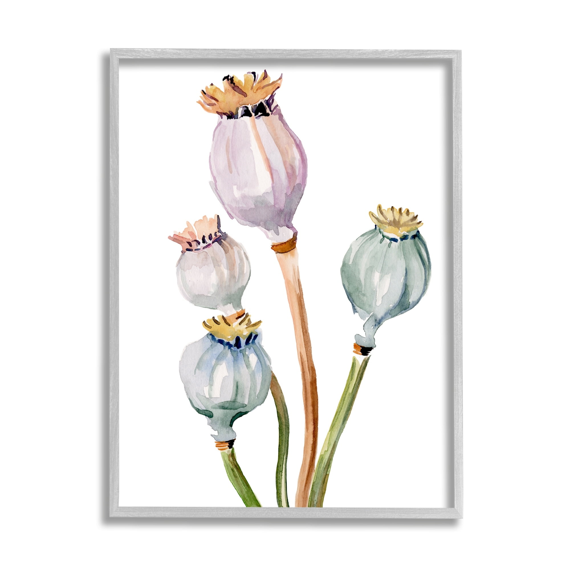 Stupell Industries Pastel Poppy Pods Watercolor Botanical & Floral Painting Gray Framed Art Print Wall Art