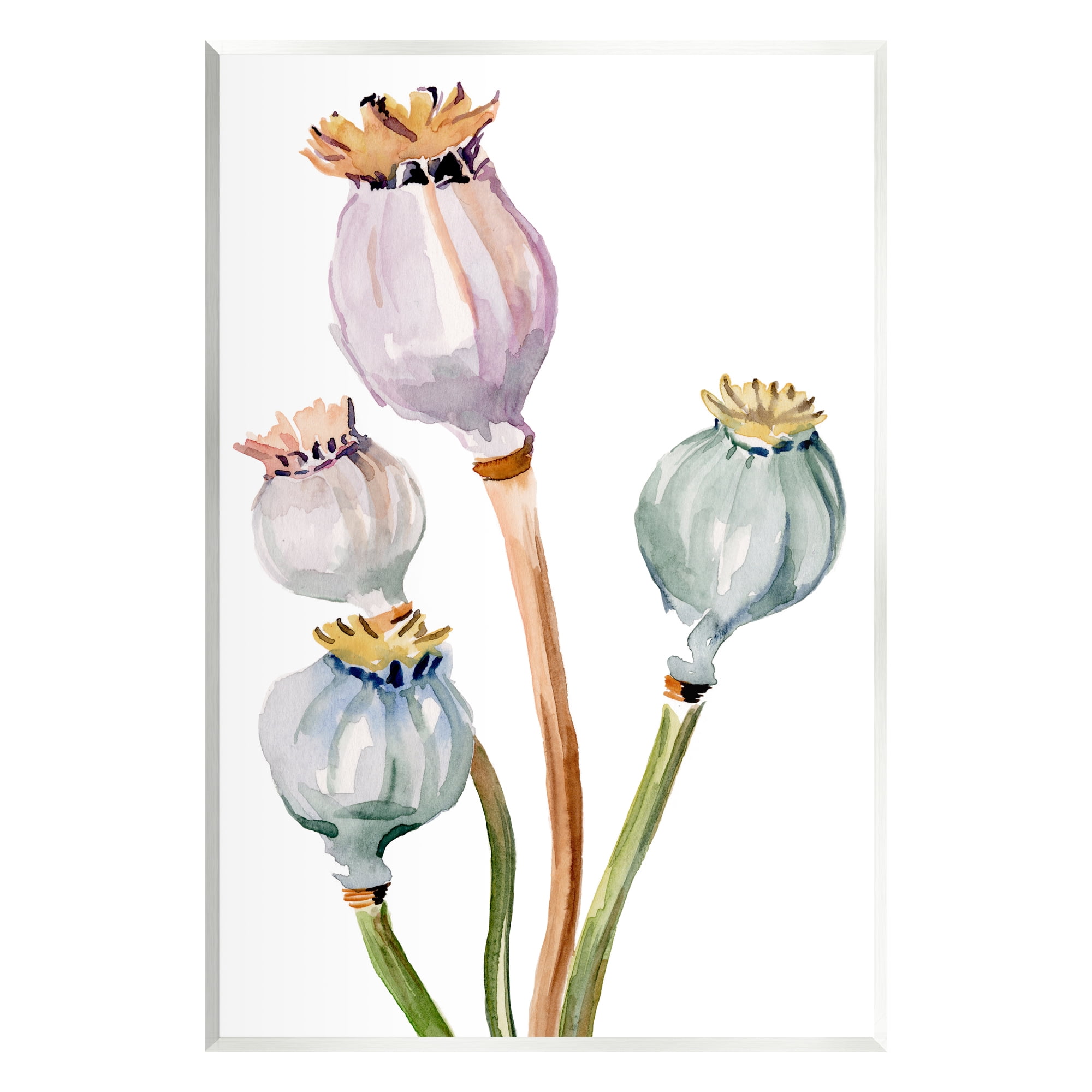 Stupell Industries Pastel Poppy Pods Watercolor Botanical & Floral Painting Unframed Art Print Wall Art