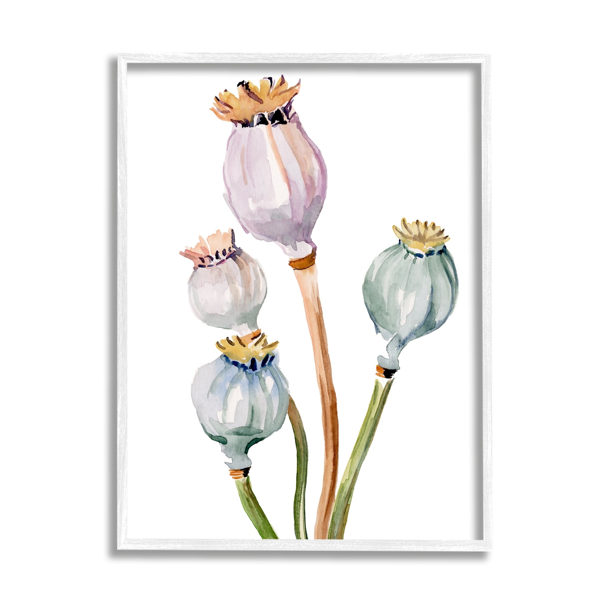 Stupell Industries Pastel Poppy Pods Watercolor Botanical & Floral Painting White Framed Art Print Wall Art