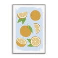 thumbnail image 1 of Stupell Industries Farmhouse Pastel Summer Oranges Gray Framed Giclee Art, 20 x 30, by Martina Pavlova, 1 of 8