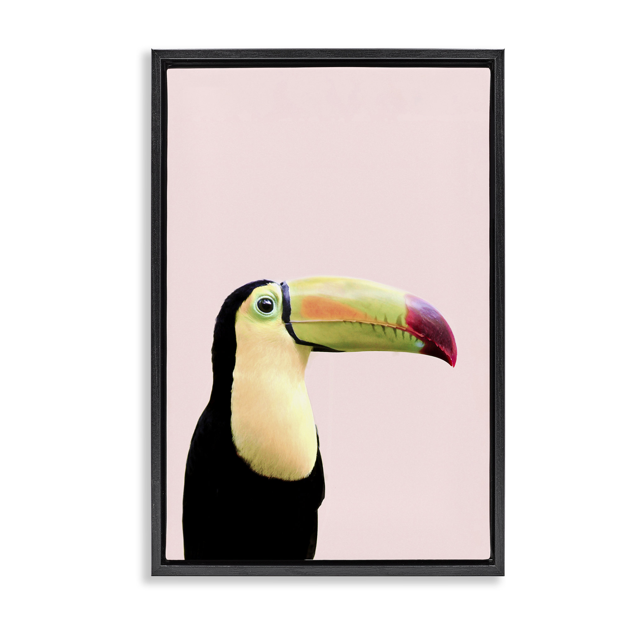 Stupell Industries Pastel Toucan on Pink Animals Painting Black Floater Framed Canvas Art Print Wall Art, 21 x 31