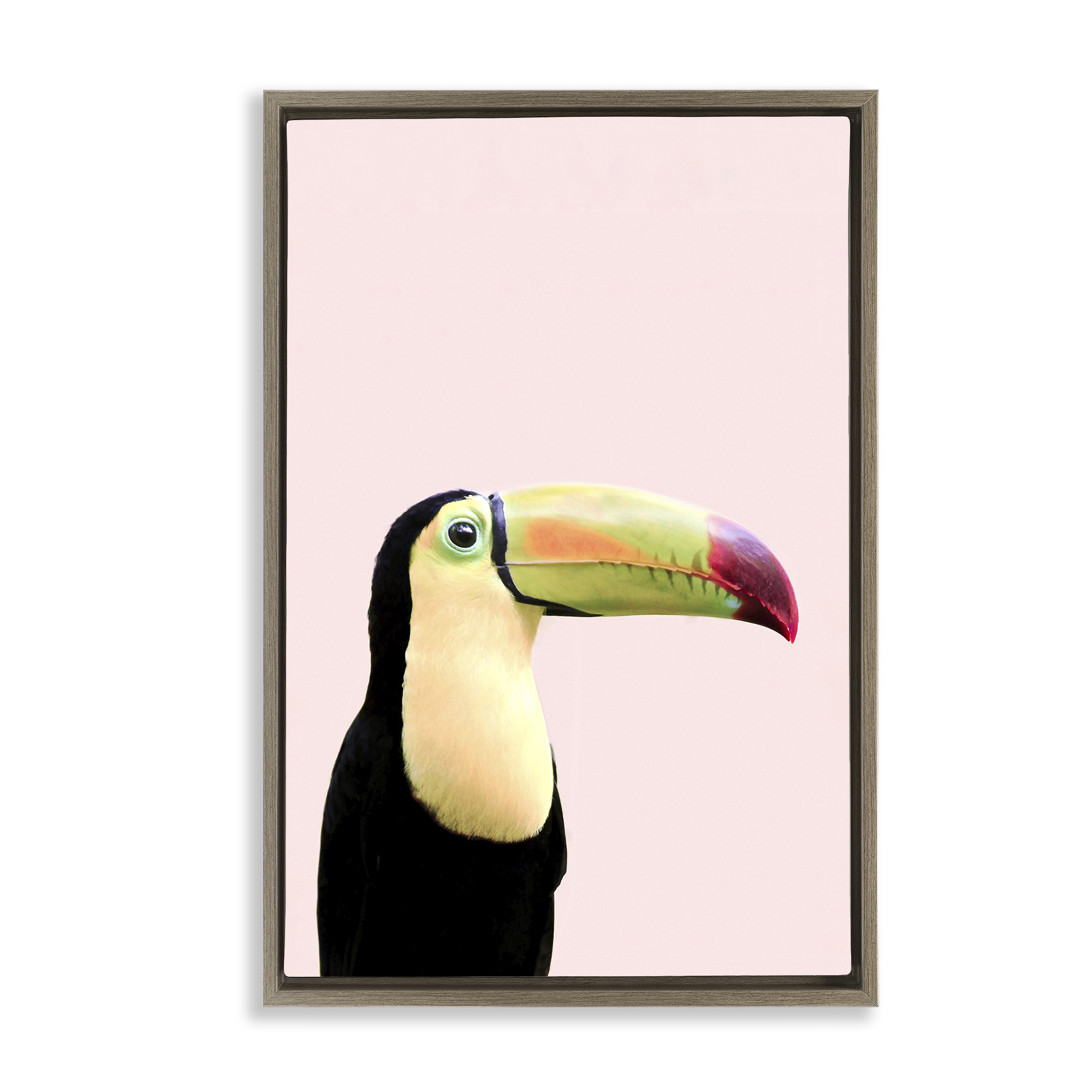 Stupell Industries Pastel Toucan on Pink Animals Painting Brown Floater Framed Canvas Art Print Wall Art, 21 x 31