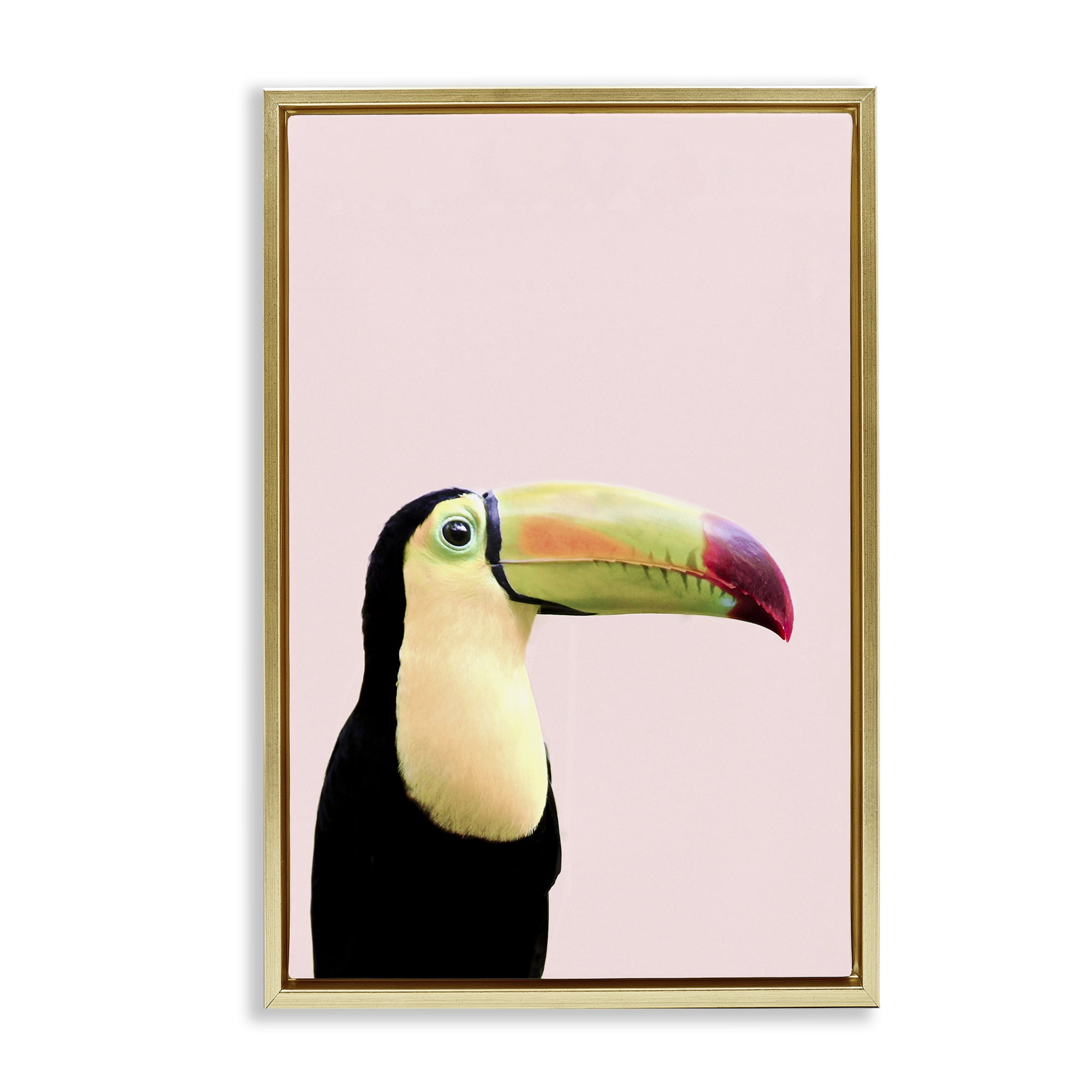 Stupell Industries Pastel Toucan on Pink Animals Painting Gold Floater Framed Canvas Art Print Wall Art, 21 x 31