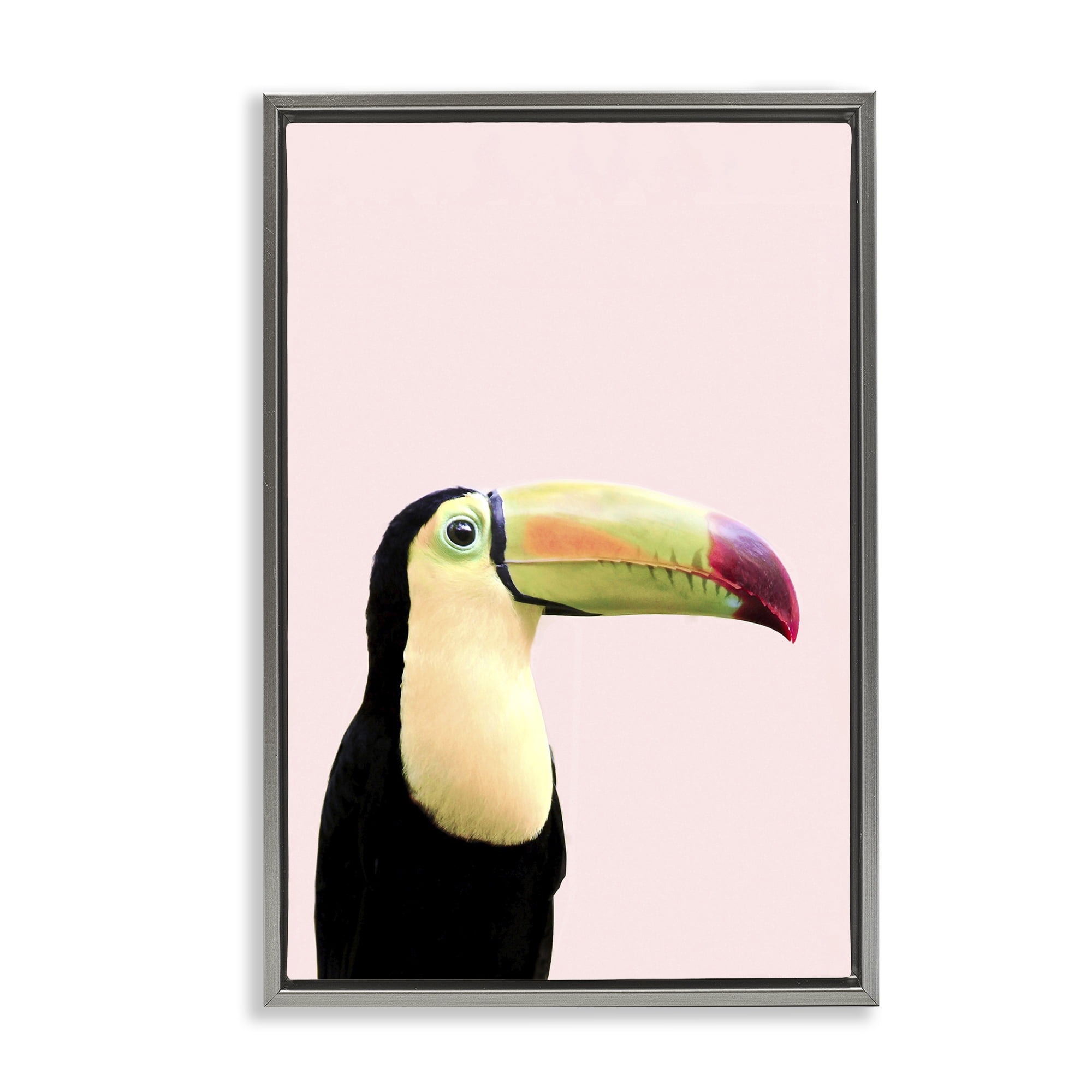 Stupell Industries Pastel Toucan on Pink Animals Painting Gray Floater Framed Canvas Art Print Wall Art, 21 x 31