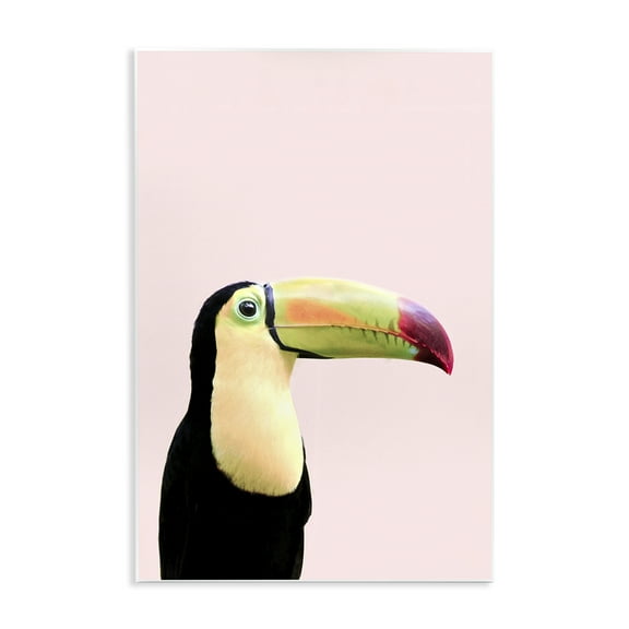 Stupell Industries Pastel Toucan on Pink Animals Painting Unframed Art Print Wall Art, 10 x 15