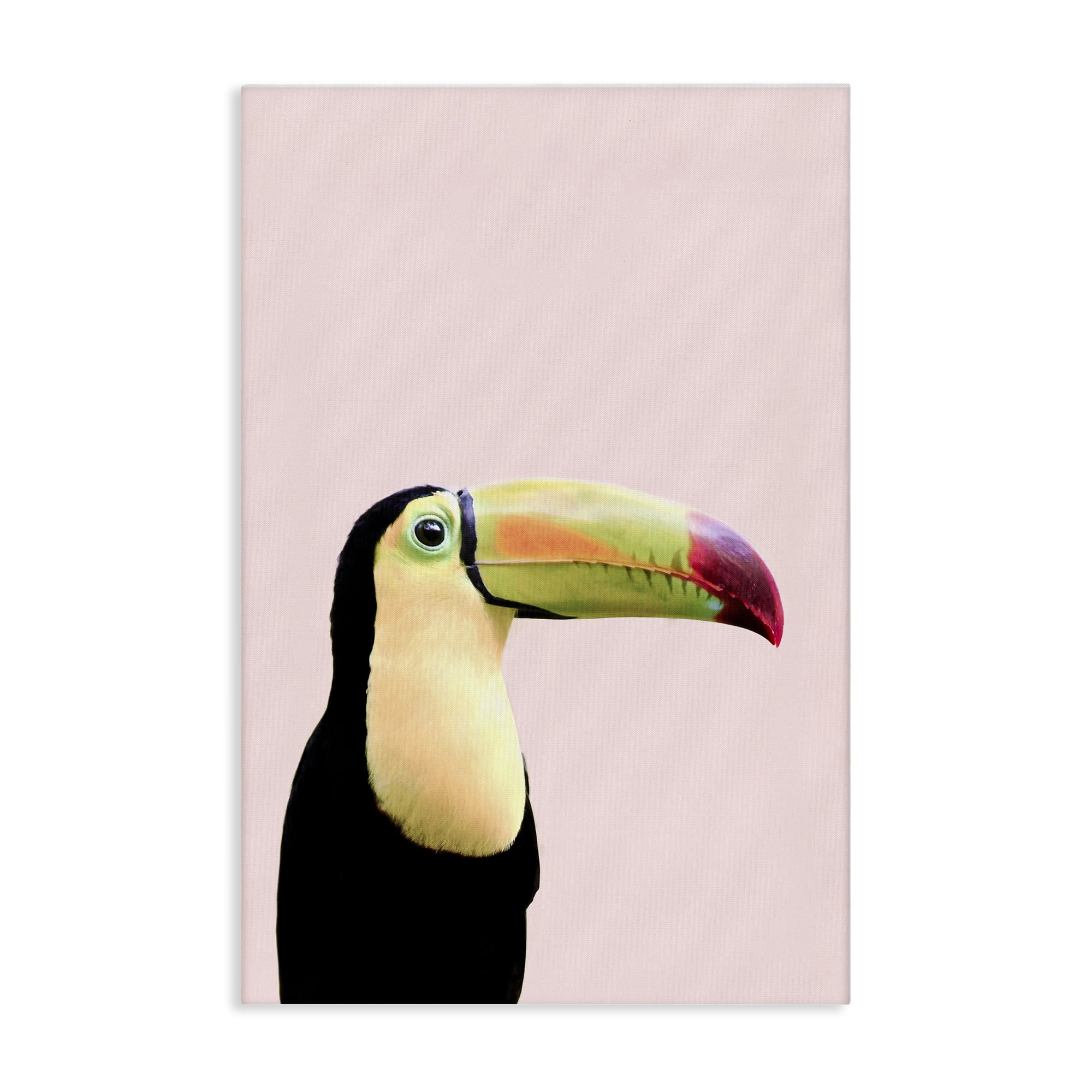 Stupell Industries Pastel Toucan on Pink Animals Painting Wrapped Canvas Art Print Wall Art, 20 x 30