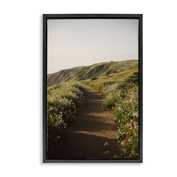 Stupell Industries Path by Beach Coast Landscape & Nature Photography Black Floater Framed Canvas Art Print Wall Art, 17 x 25