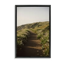 Stupell Industries Path by Beach Coast Landscape & Nature Photography Black Floater Framed Canvas Art Print Wall Art, 17 x 25