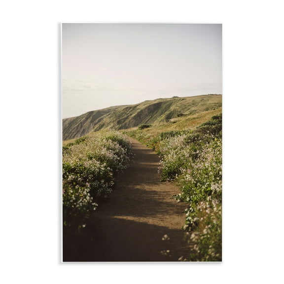 Stupell Industries Path by Beach Coast Landscape & Nature Photography Unframed Art Print Wall Art, 10 x 15