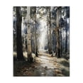 thumbnail image 1 of Stupell Industries Farmhouse Path in Autumn Light Canvas Art, 16 x 20, by Franklyn Gregory, 1 of 8