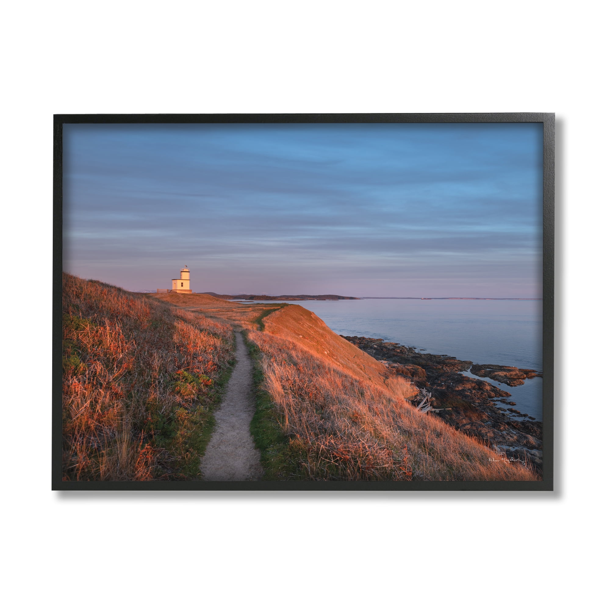 Stupell Industries Path to Lighthouse Landscape Photography Black Framed Art Print Wall Art, 20 x 16