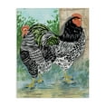 thumbnail image 1 of Stupell Industries Patterned Farmhouse Hens Animals Painting Wrapped Canvas Art Print Wall Art, 36 x 48, 1 of 8