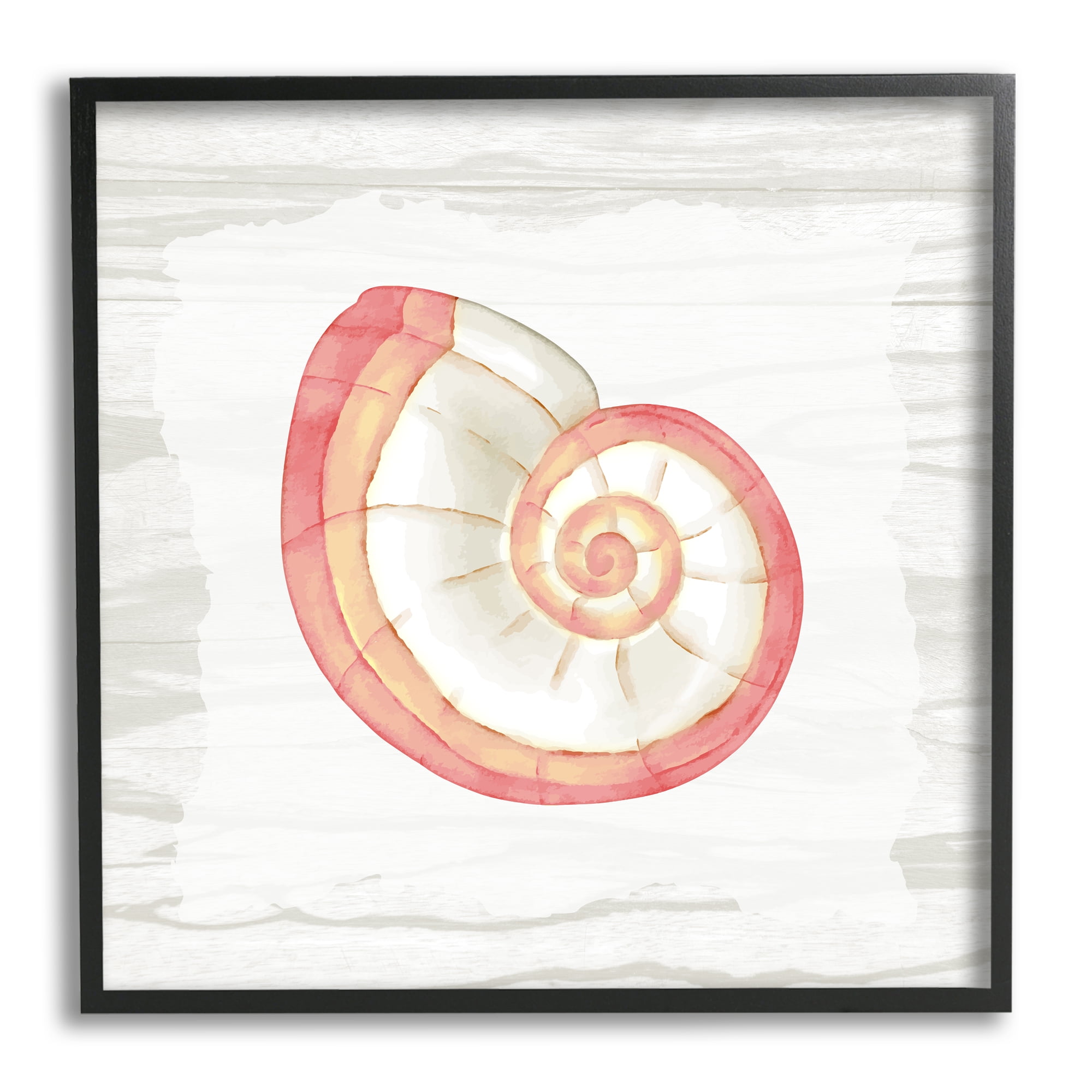 Stupell Industries Patterned Nautilus Shell Animals & Insects Painting Black Framed Art Print Wall Art, 24 x 24