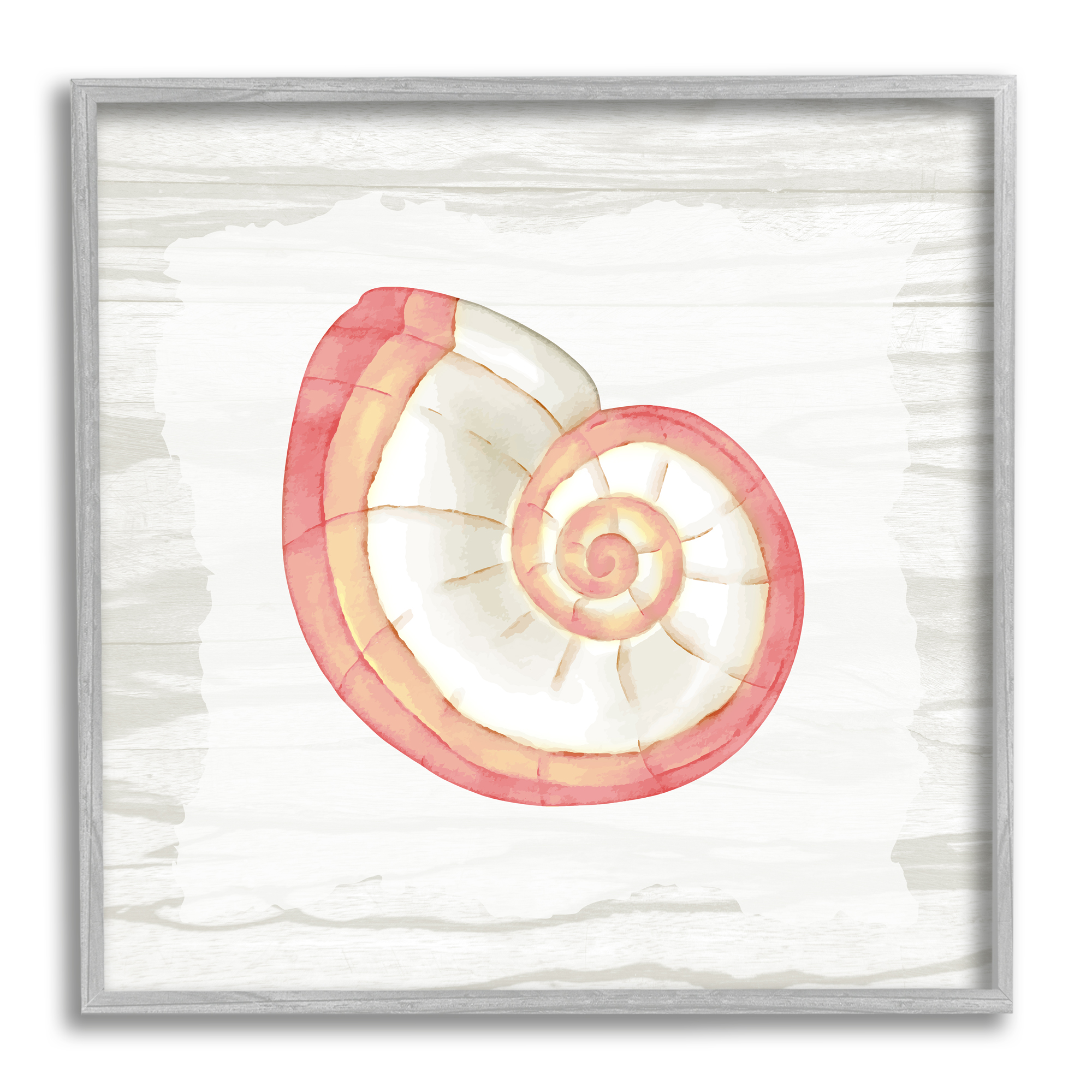 Stupell Industries Patterned Nautilus Shell Animals & Insects Painting Gray Framed Art Print Wall Art, 12 x 12