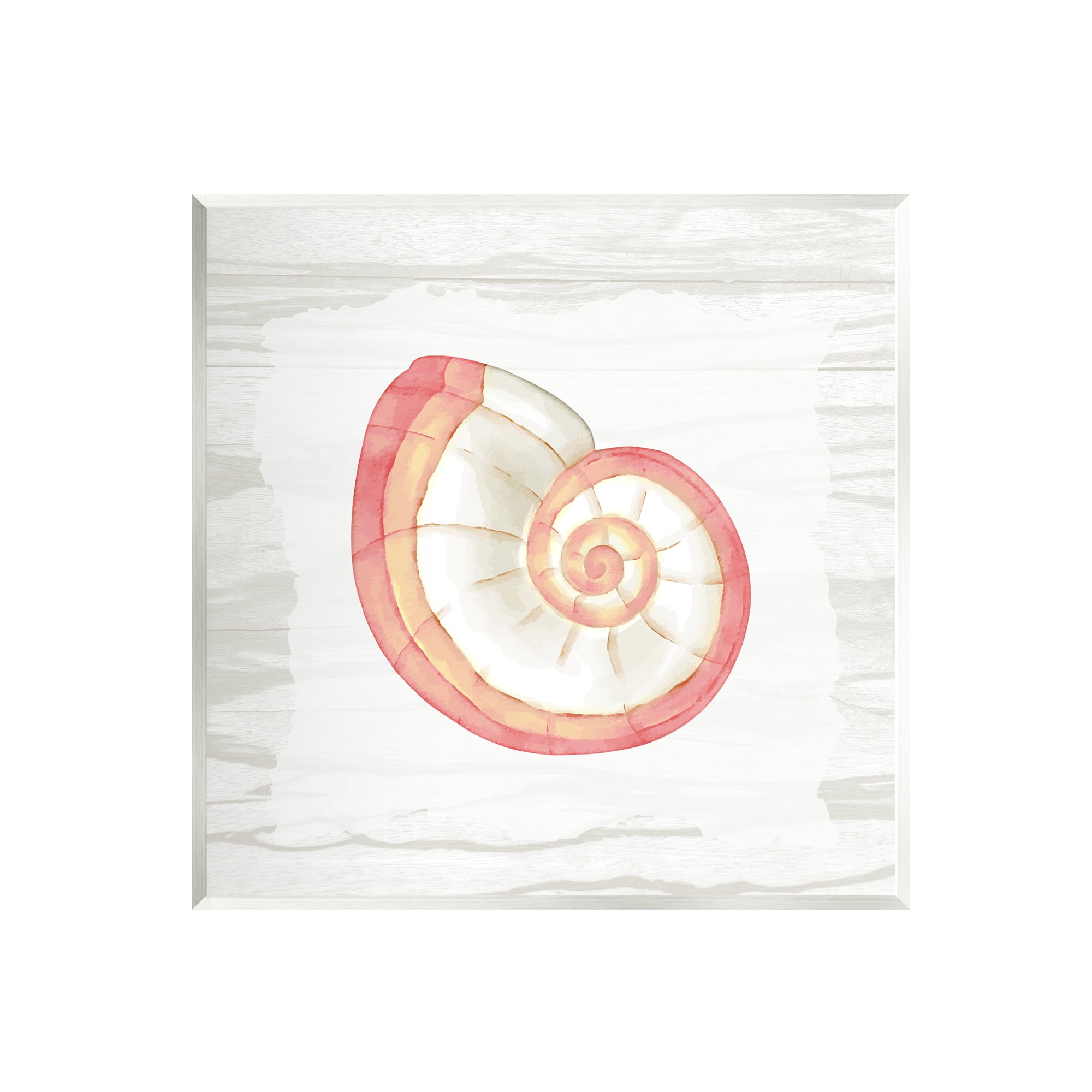 Stupell Industries Patterned Nautilus Shell Animals & Insects Painting Unframed Art Print Wall Art, 12 x 12