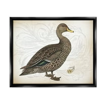 Stupell Industries Patterned Vintage Duck Animals & Insects Painting Black Floater Framed Canvas Art Print Wall Art, 21 x 17