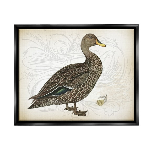 Stupell Industries Patterned Vintage Duck Animals & Insects Painting Black Floater Framed Canvas Art Print Wall Art, 21 x 17