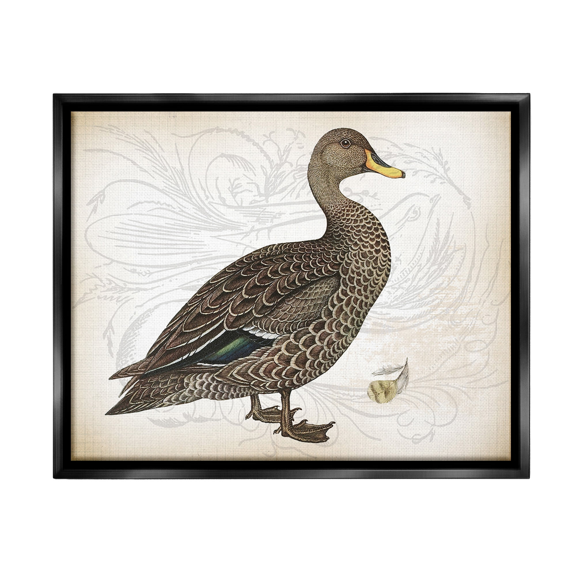 Stupell Industries Patterned Vintage Duck Animals & Insects Painting Black Floater Framed Canvas Art Print Wall Art, 31 x 25