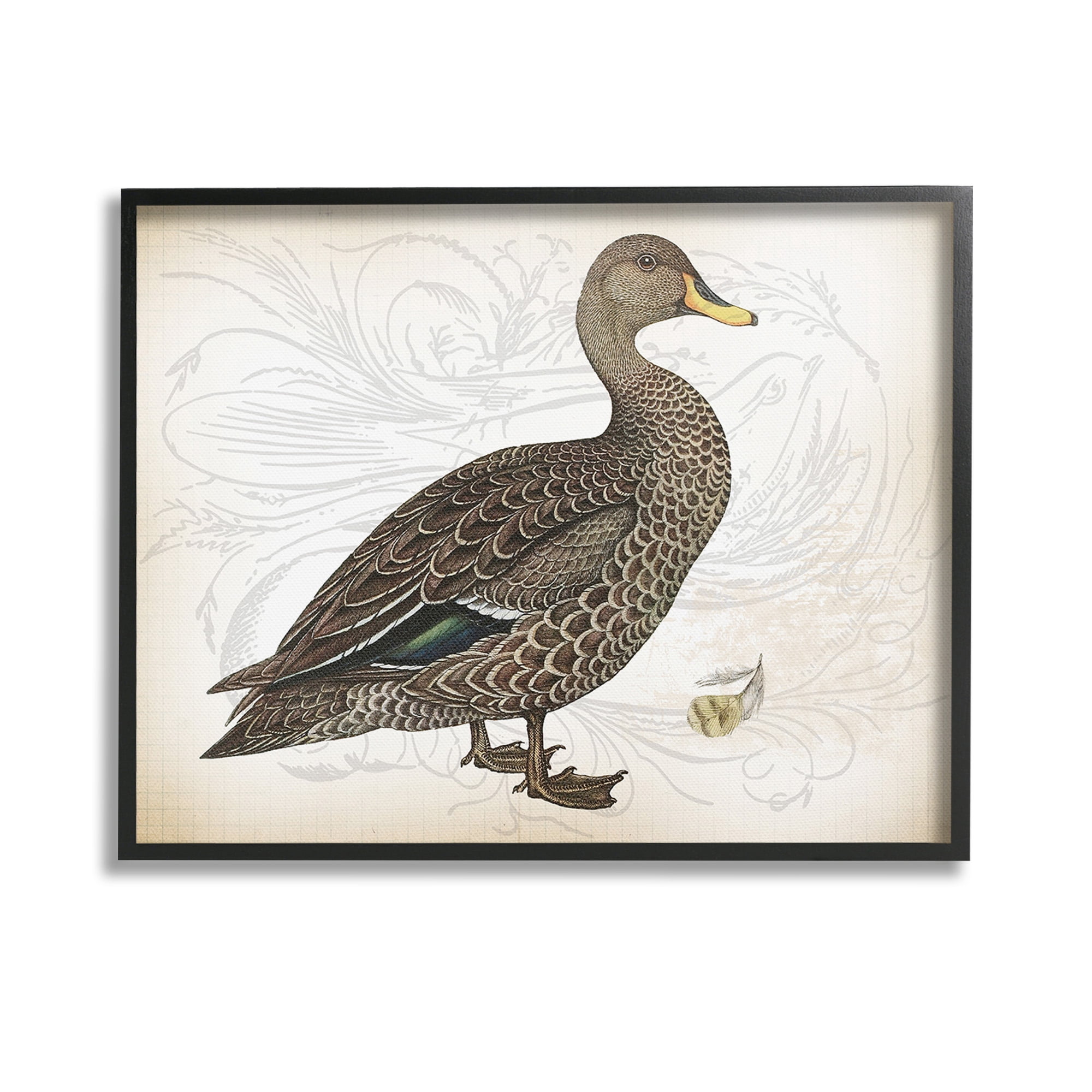Stupell Industries Patterned Vintage Duck Animals & Insects Painting Black Framed Art Print Wall Art, 14 x 11