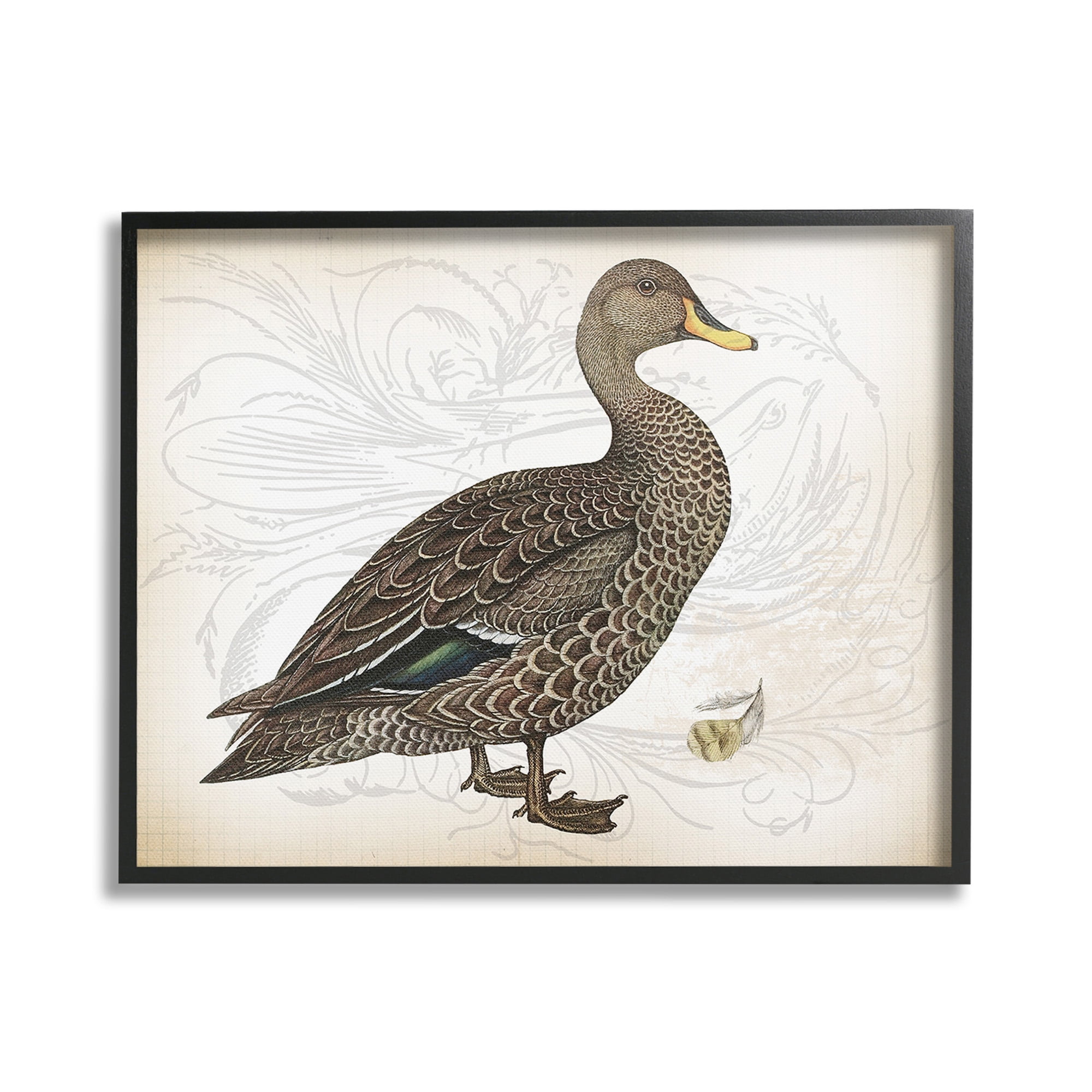 Stupell Industries Patterned Vintage Duck Animals & Insects Painting Black Framed Art Print Wall Art, 30 x 24