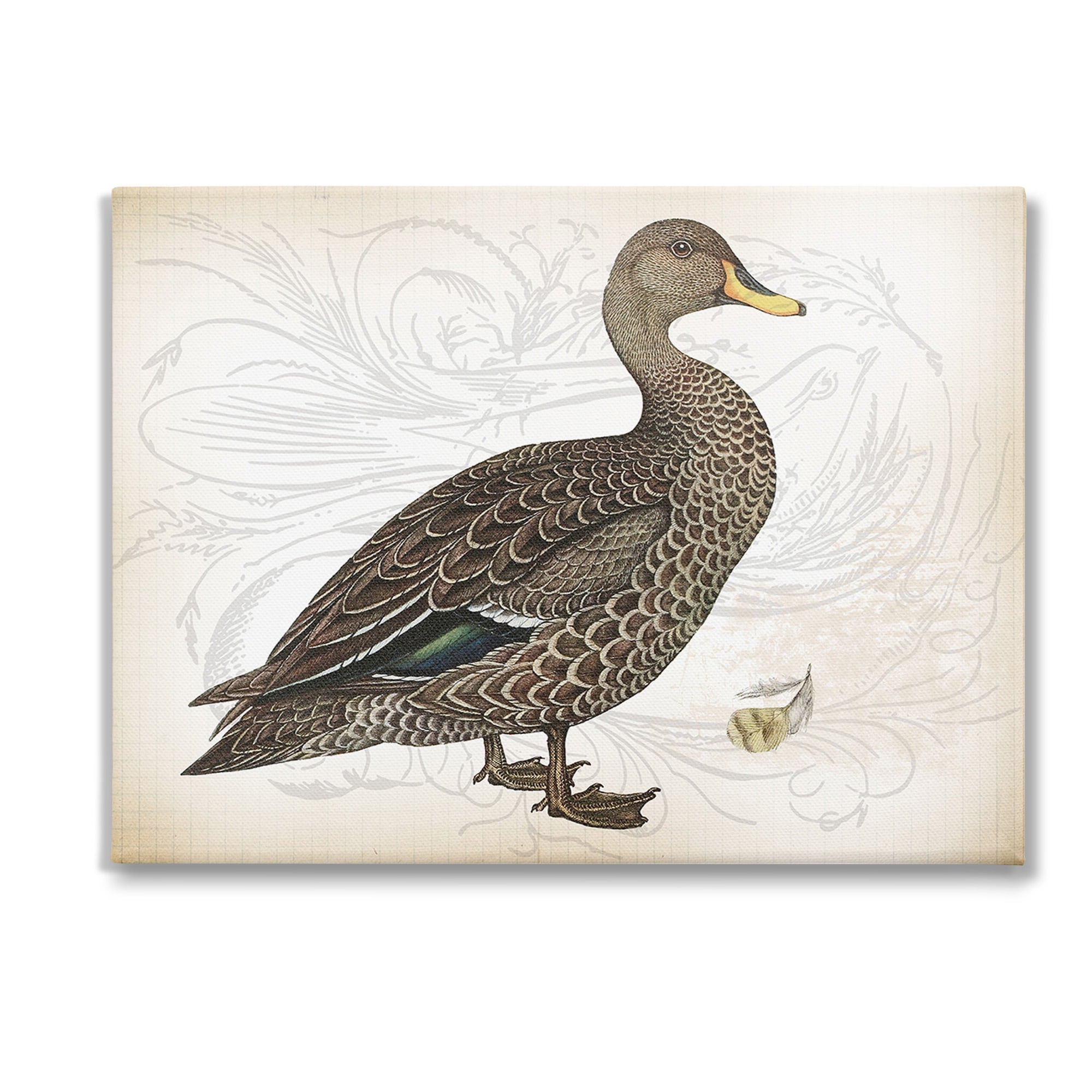 Stupell Industries Patterned Vintage Duck Animals & Insects Painting Gallery Wrapped Canvas Art Print Wall Art, 48 x 36
