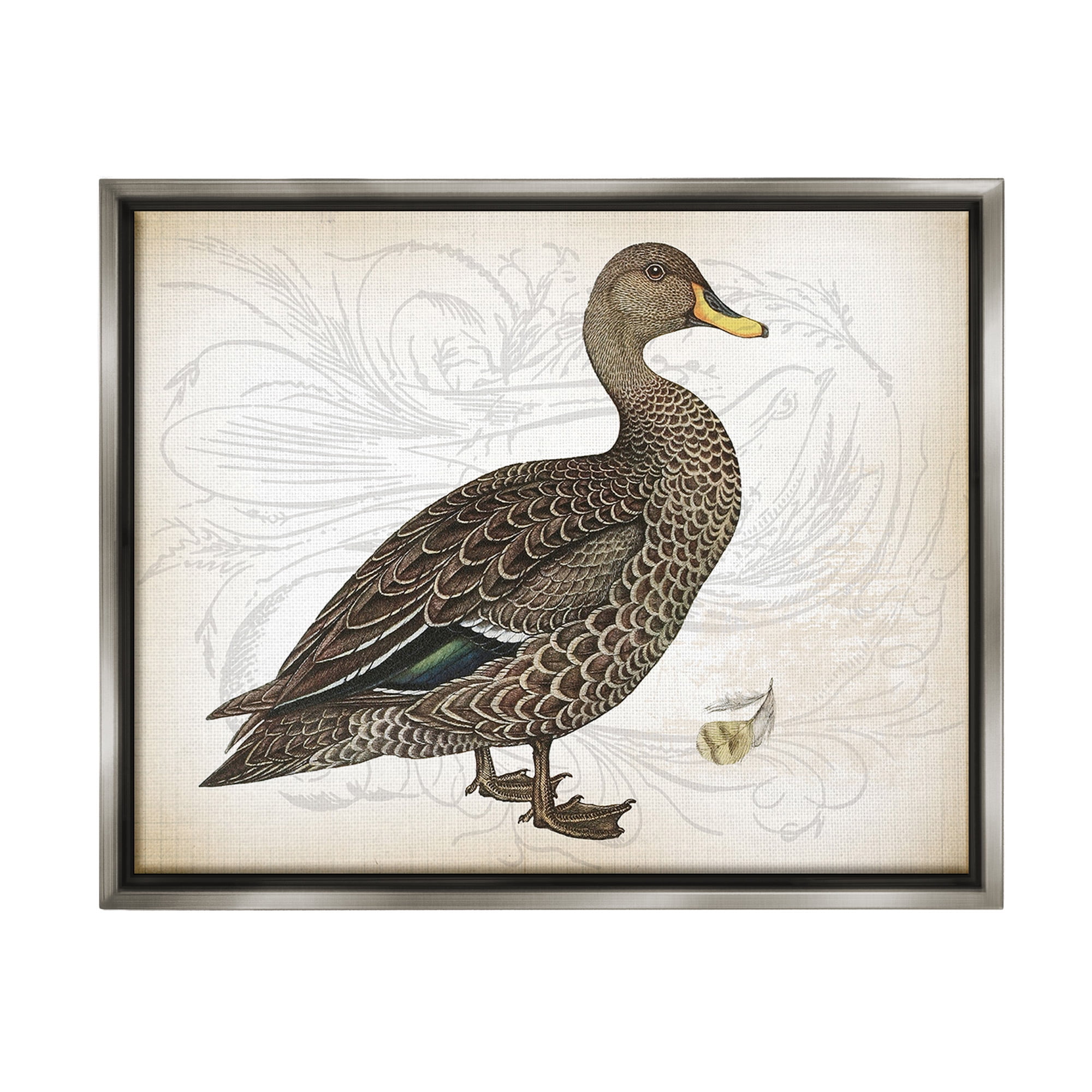 Stupell Industries Patterned Vintage Duck Animals & Insects Painting Gray Floater Framed Canvas Art Print Wall Art, 31 x 25