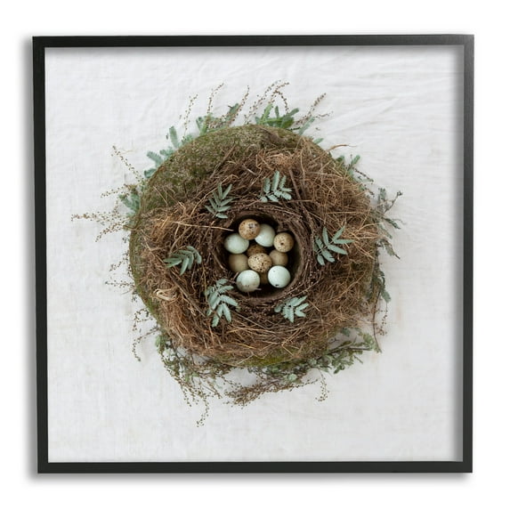 Stupell Industries Peaceful Bird Nest Speckled Eggs Nature Photography Photograph Black Framed Art Print Wall Art, Design by Tania Soderman